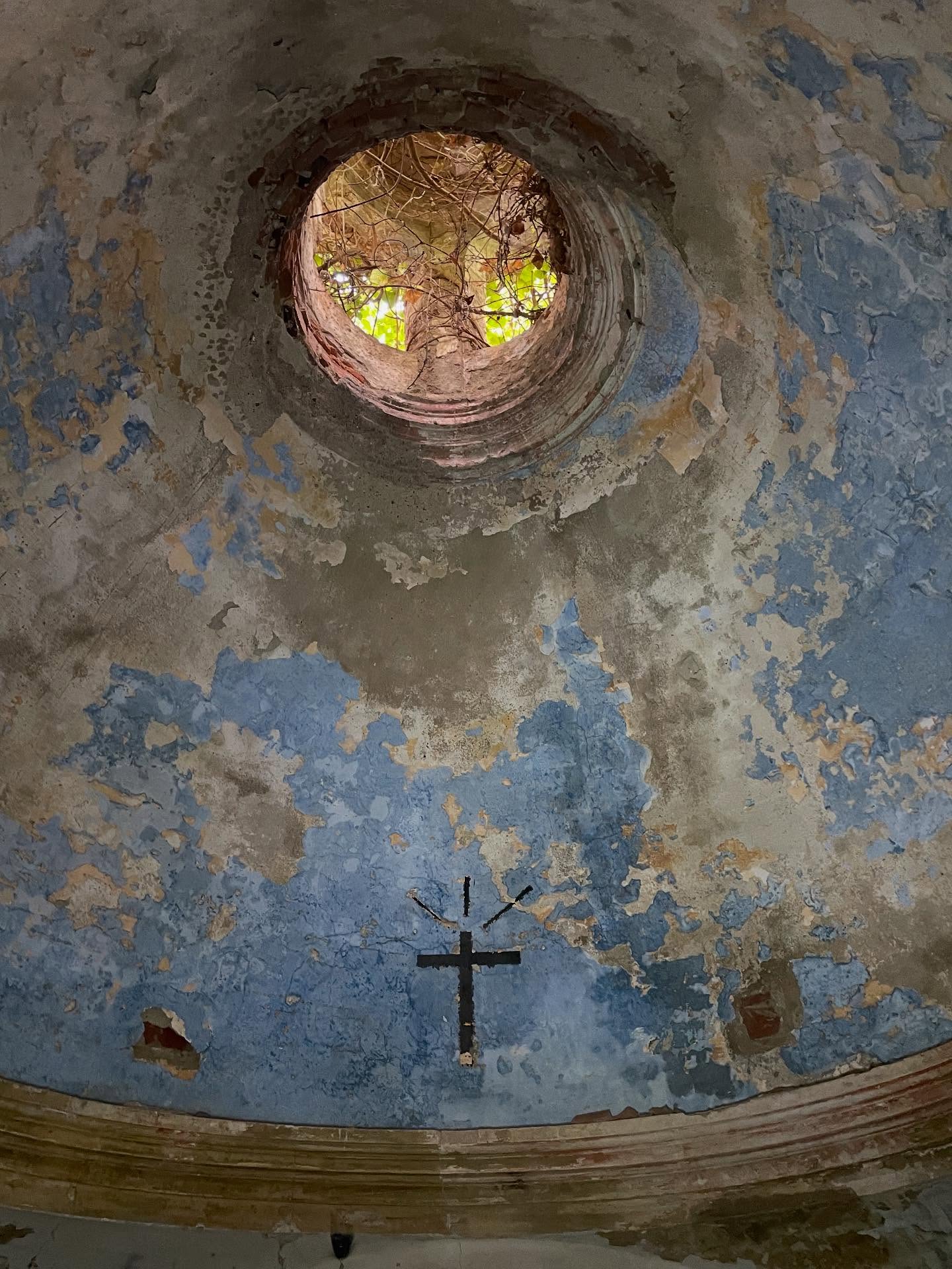 OLTRE 100.000 VISUALIZZAZIONI! Il Nostro Successo È Dedicato al Gigante Guardiano di Villa Maurogordato!