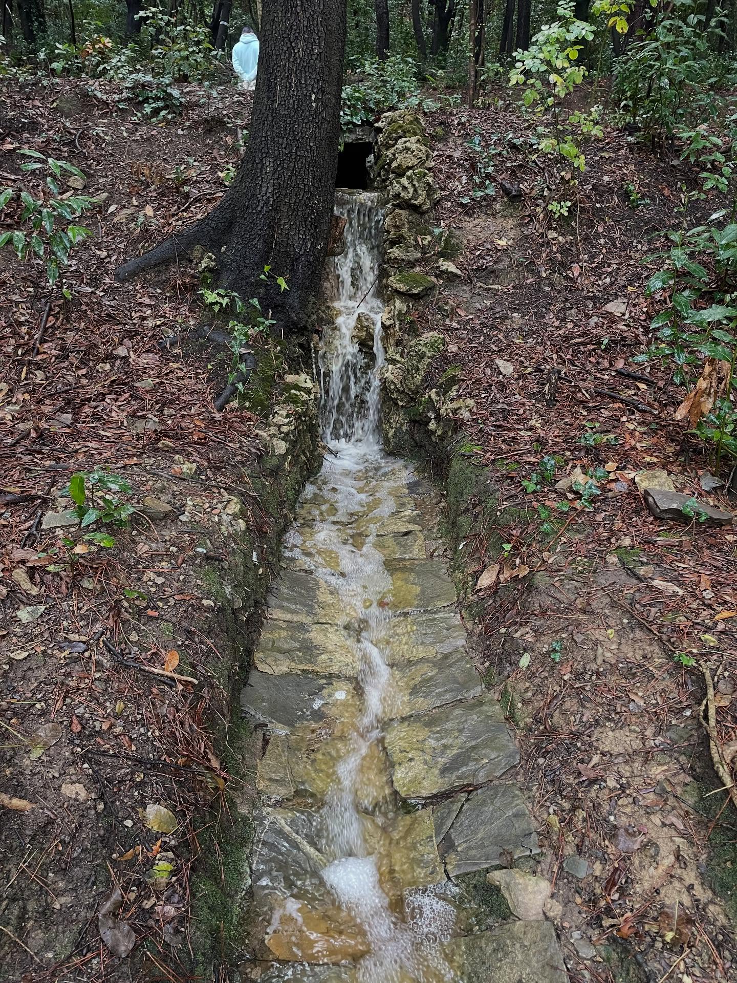 Villa Rodocanacchi: Torna a Vivere la "Cascatella"