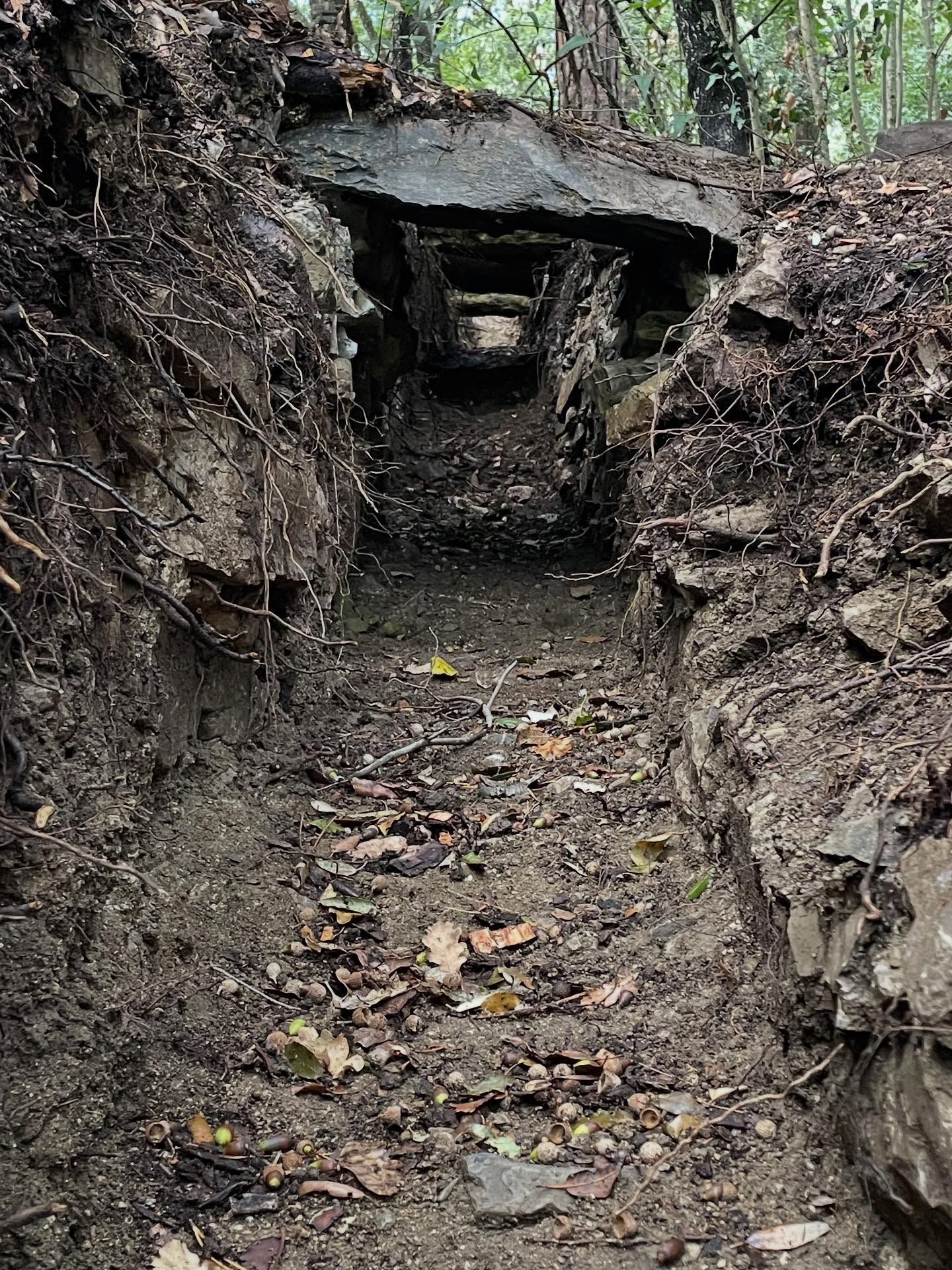 Villa Rodocanacchi: Svelato l'Ultimo Canale