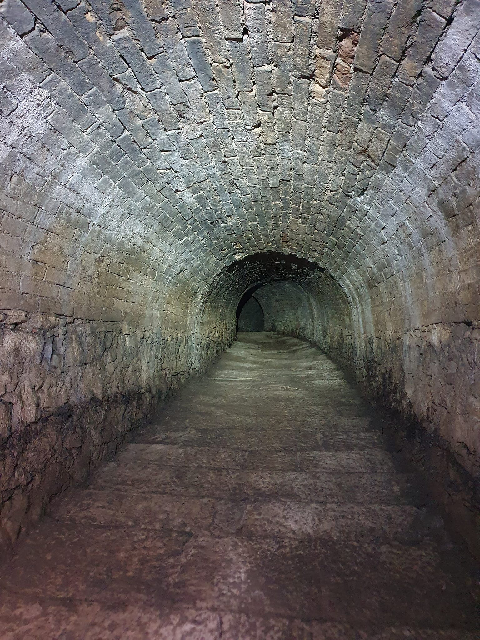Le Scienze della Terra: Successo del Primo Incontro a Villa Rodocanacchi