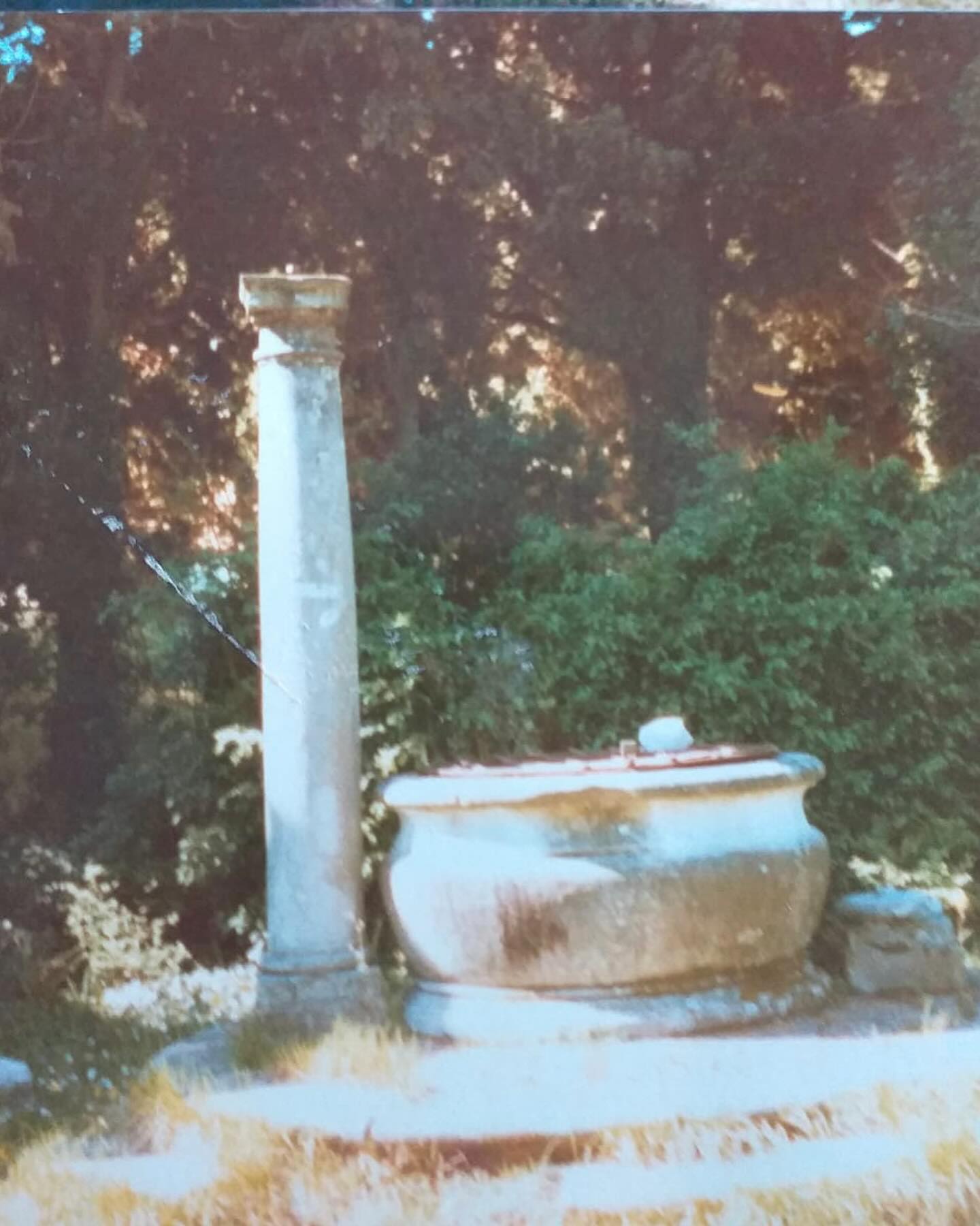 Dalle Mani dei Volontari di Reset Emerge il Passato: Ritrovati Antico Pozzo e Colonna a Villa Rodocanacchi