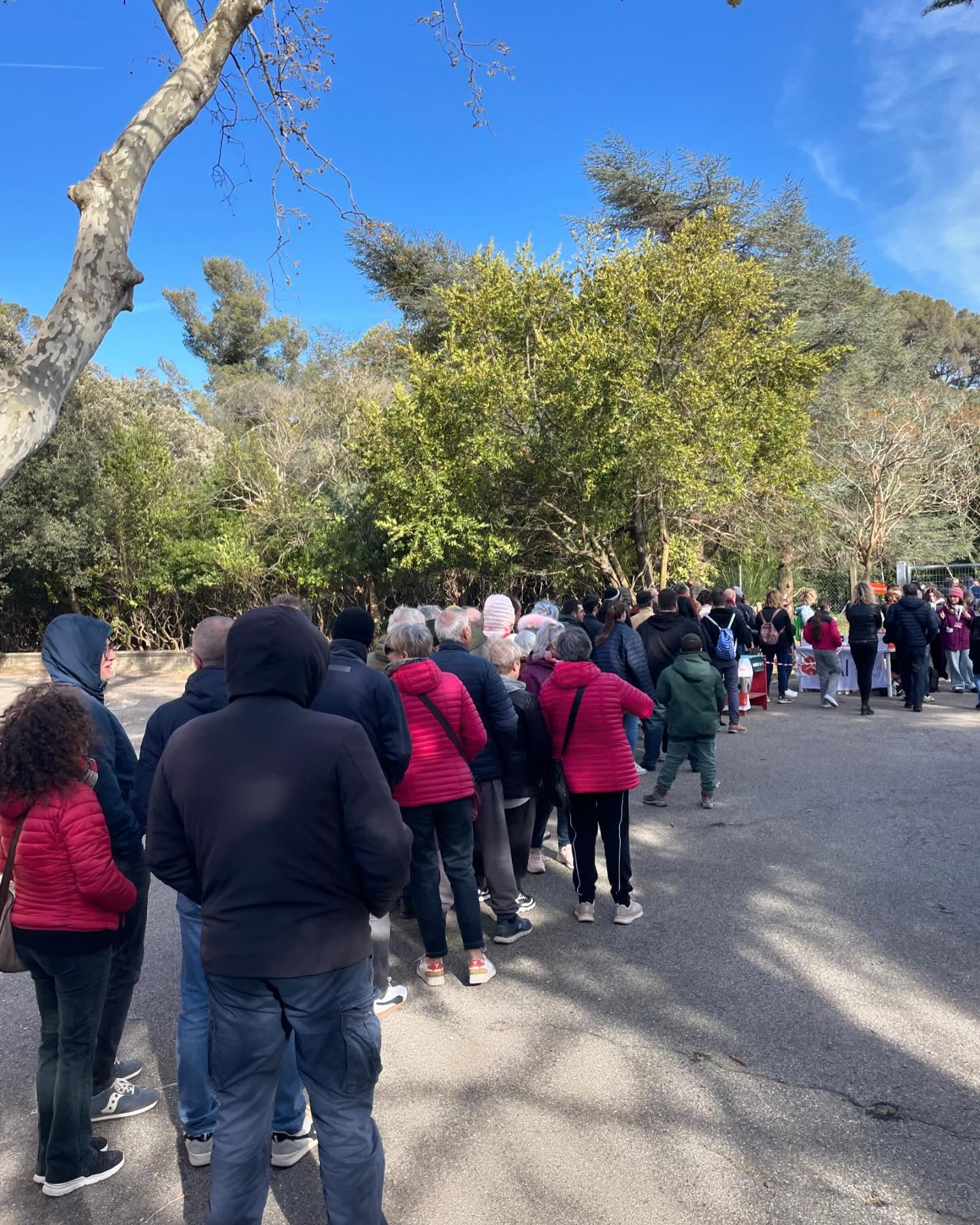 Successo Straordinario per le Giornate FAI: Un Trionfo di Comunità a Livorno!
