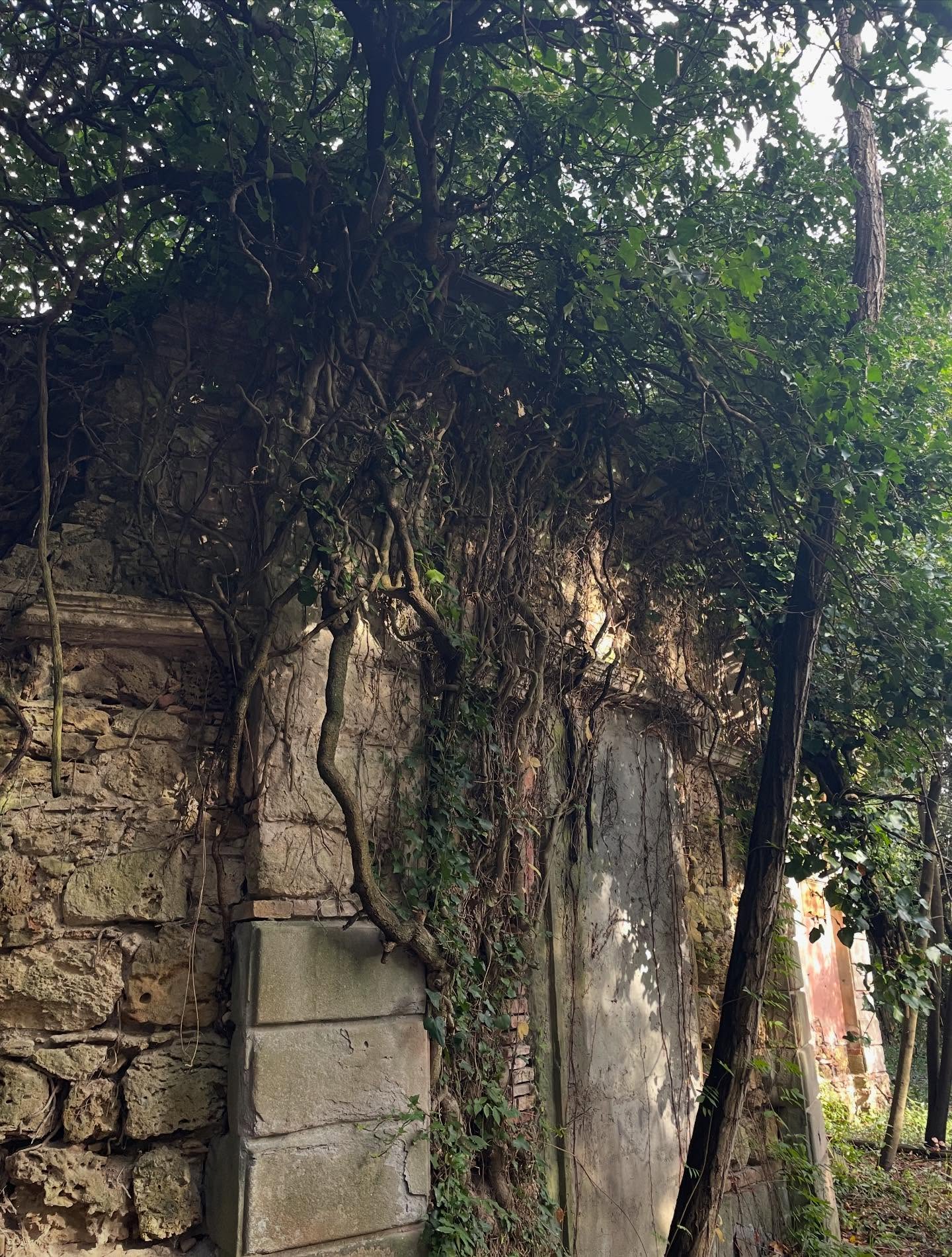 La Casa sul Lago: A Villa Rodocanacchi storia e ingegneria si fondono in un gioiello dimenticato.