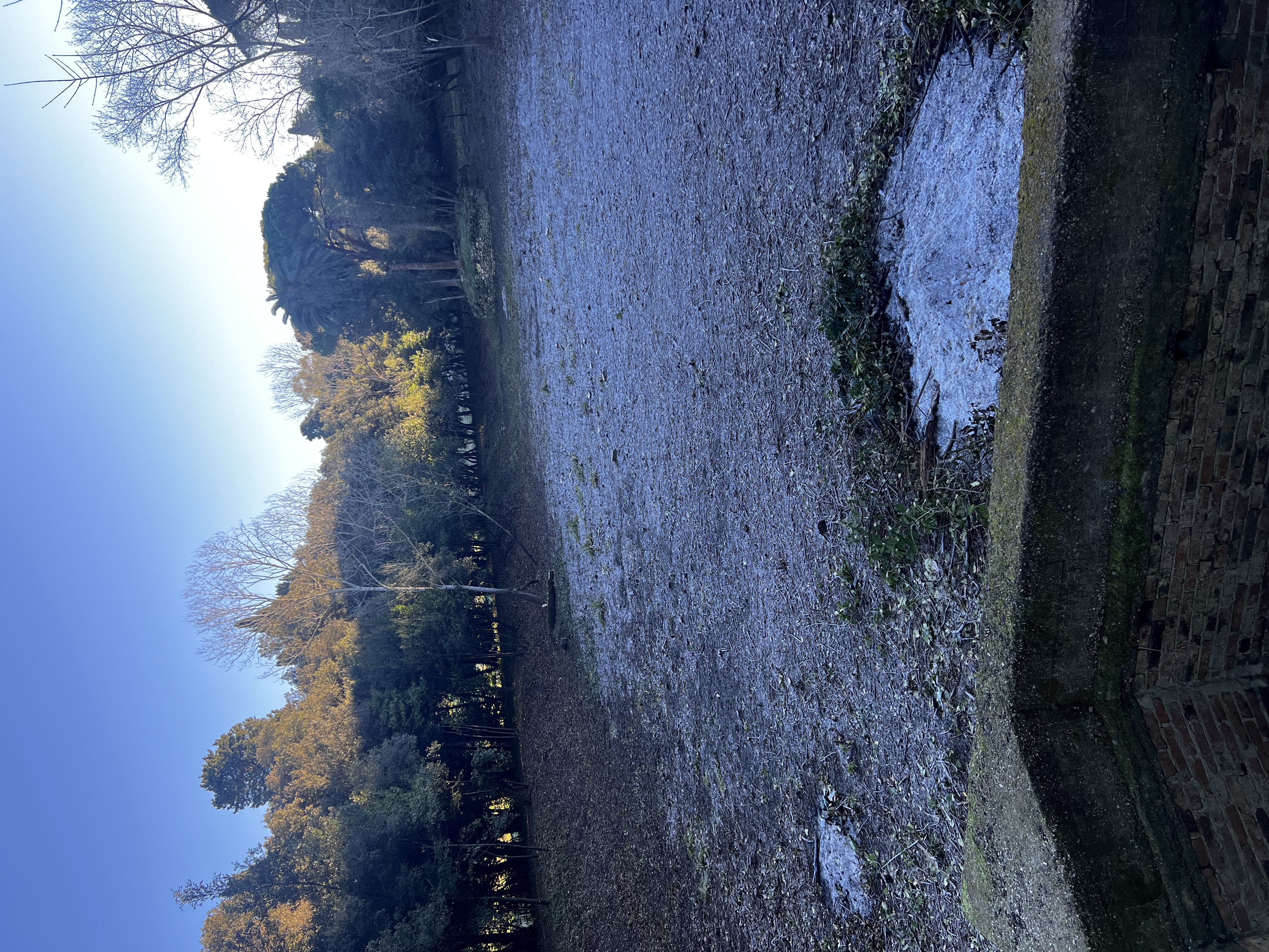 Operazione Villa Rodocanacchi: Volontariato "sotto zero" tra le pietre del laghetto