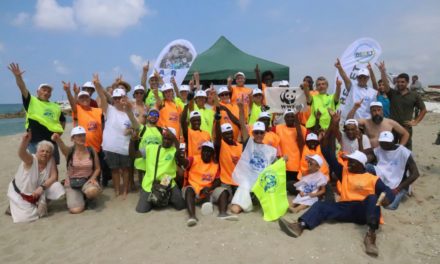 Resoconto visivo: Giornata di pulizia alla spiaggia del Parco di San Rossore Eventi a Pisa